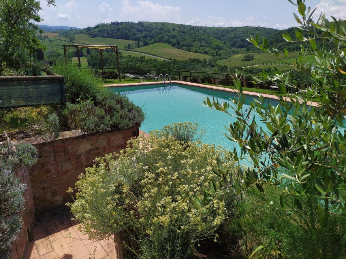 Antonella House -Podere Della Collina Palaia Ngoại thất bức ảnh