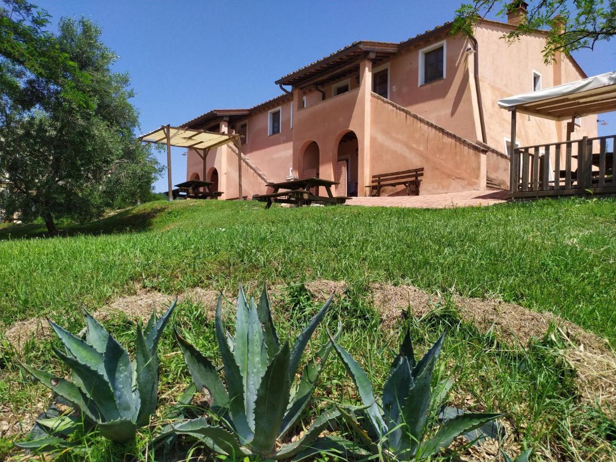 Antonella House -Podere Della Collina Palaia Ngoại thất bức ảnh